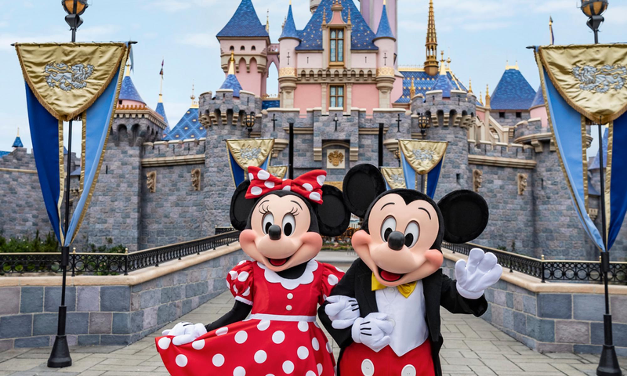 Disney planning hub